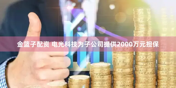 金篮子配资 电光科技为子公司提供2000万元担保