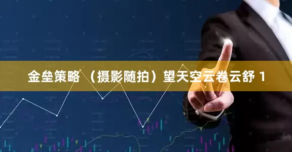 金垒策略 （摄影随拍）望天空云卷云舒 1