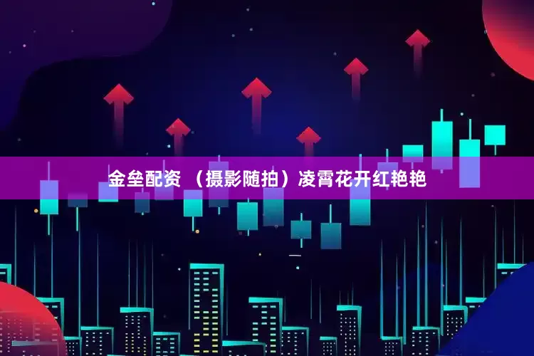 金垒配资 （摄影随拍）凌霄花开红艳艳
